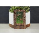 Black Walnut Wood Business Cards - 8