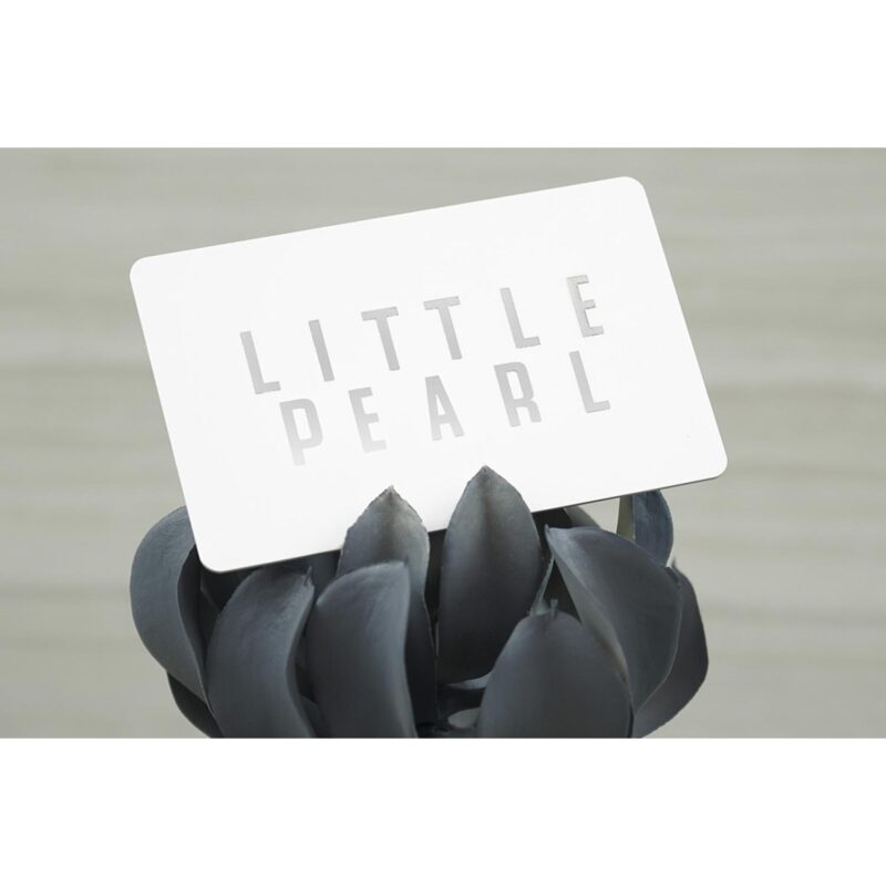 Matte Plastic Business Cards - 5